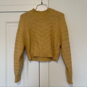 Elodie Women’s Medium Engineered Rib Sweater with Raglan Sleeve Knit Yellow